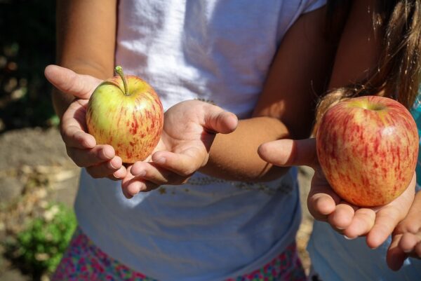 Foto van de handen van twee kinderen die allebei een appel vasthouden